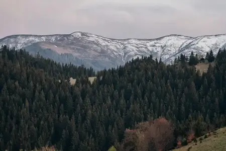 Kauf von rumänischen Vignetten und Reisetipps