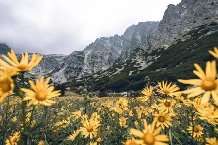 Slovačka vinjeta: Put prema putnim mogućnostima