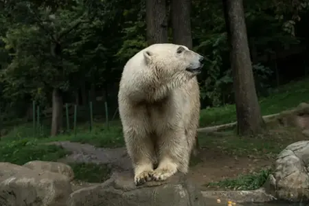 Tschechische Reisemöglichkeiten auf der Autobahn