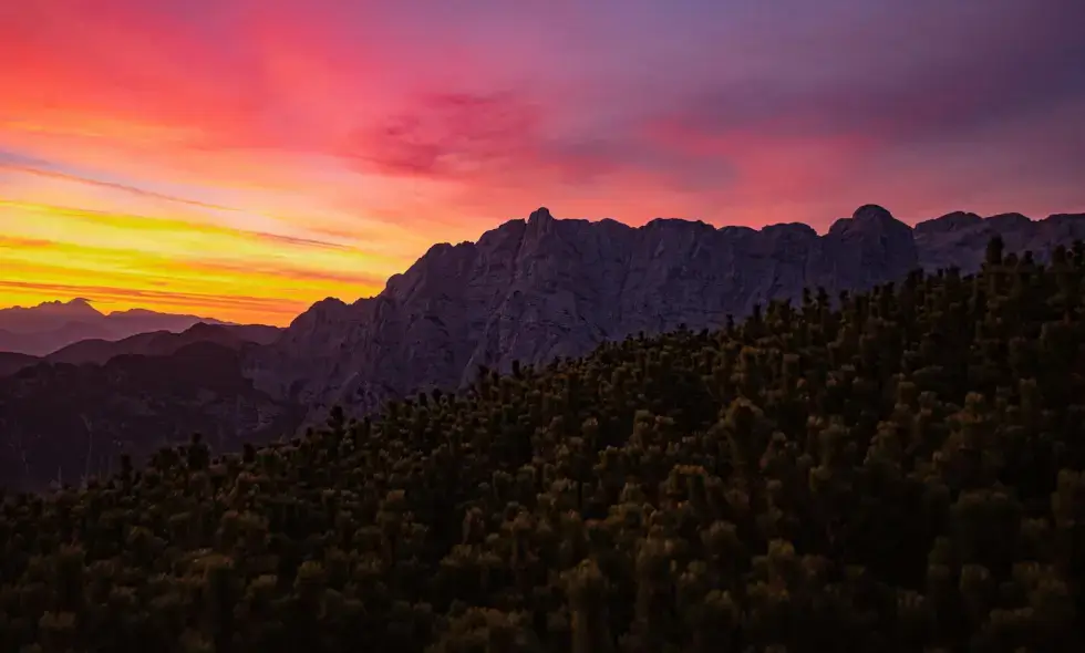 Die Wunder der slowenischen Autobahnen Die Wunder der slowenischen Autobahnen