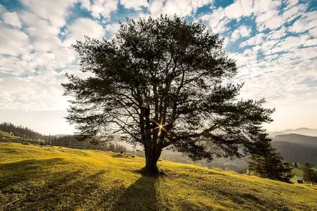 Romanian e-vignette: Discover Romania's attractions quickly and easily!