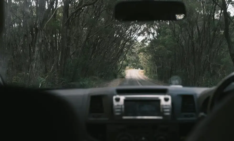Straßensperrung und Umleitung auf der Autobahn M1: Schwierigkeiten für Autofahrer erwartet