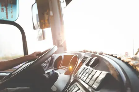 Bulgaria: Cumpărarea Vinietei Online